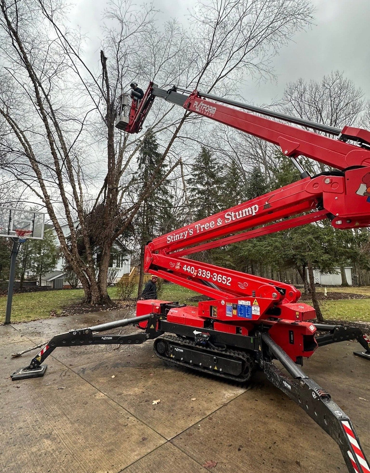 Tree Removal