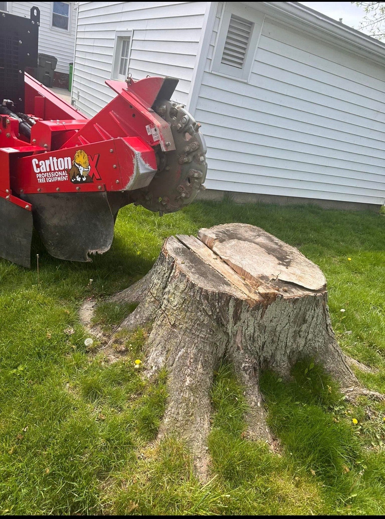 Stump Removal