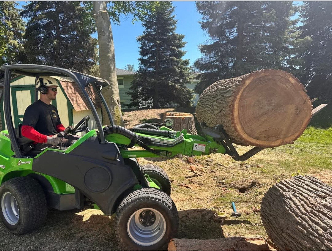 Tree Removal